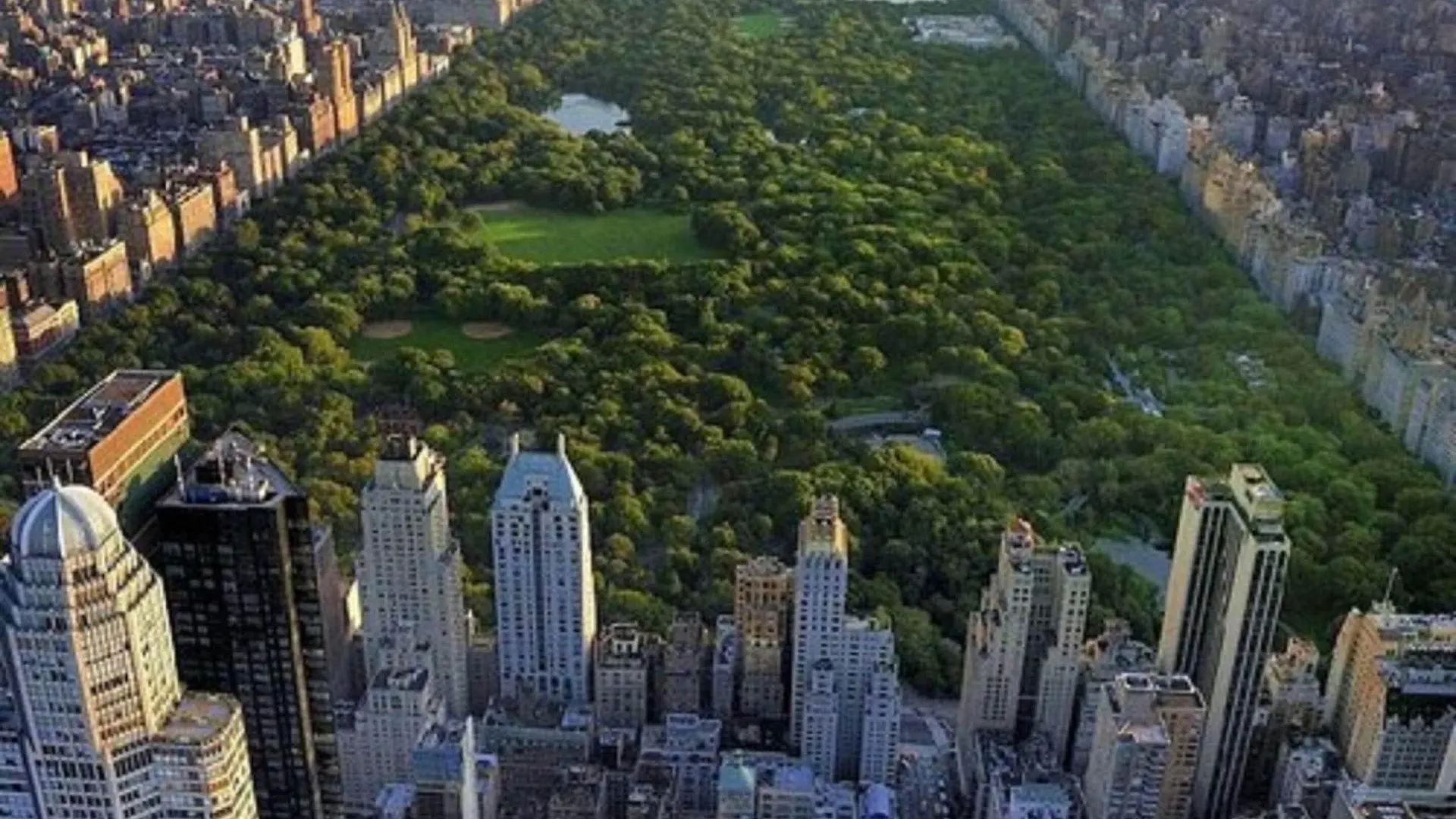 Sofitel New York Hotel